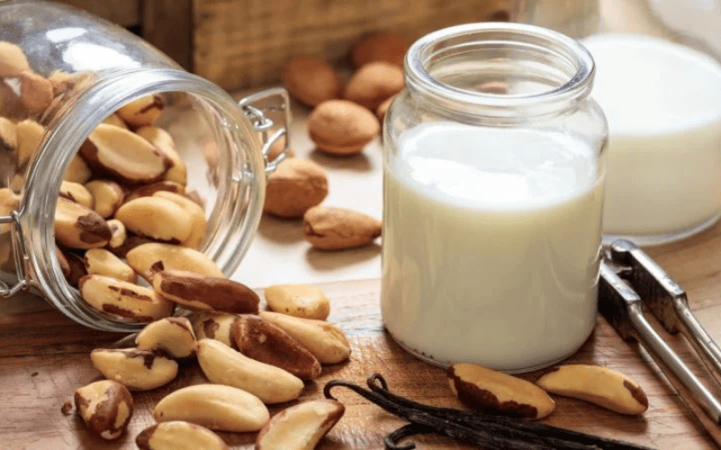 Leite de Castanha-do-Pará